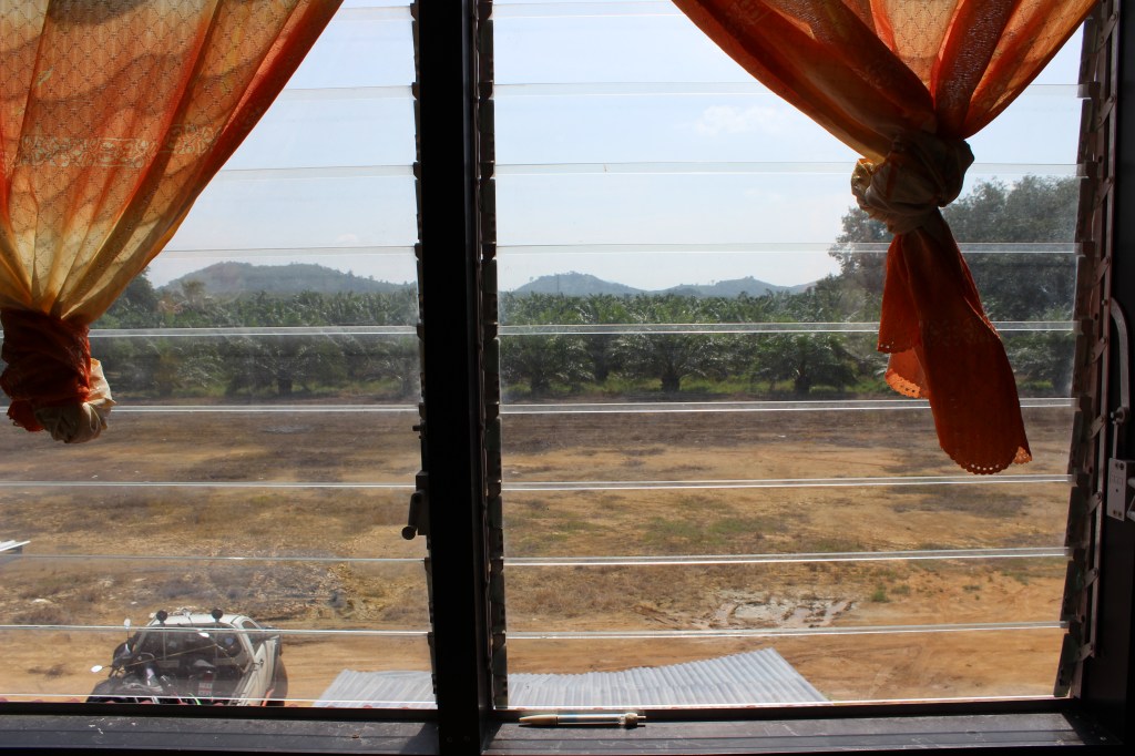 The view from my room after arrival.