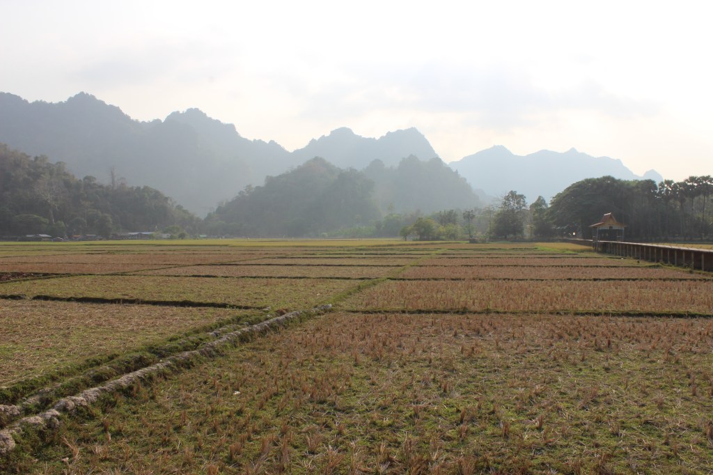 Local scenery of the limestone mountain ranges.