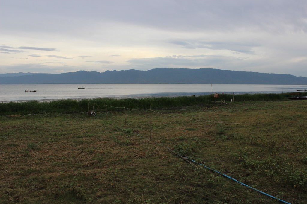 The view from my window.