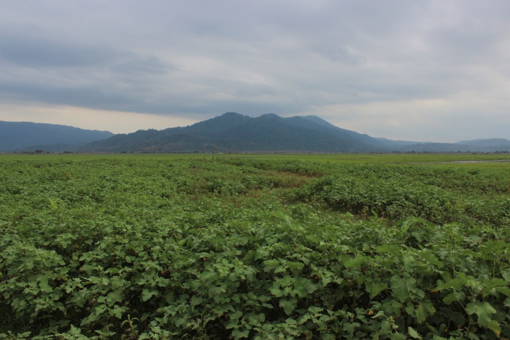 Unspoiled natural beauty.