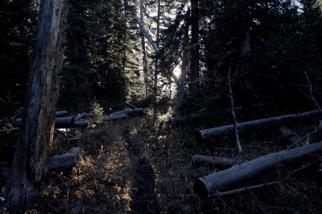 “On Creating” – Part 2: worth doing&nbsp;(badly)