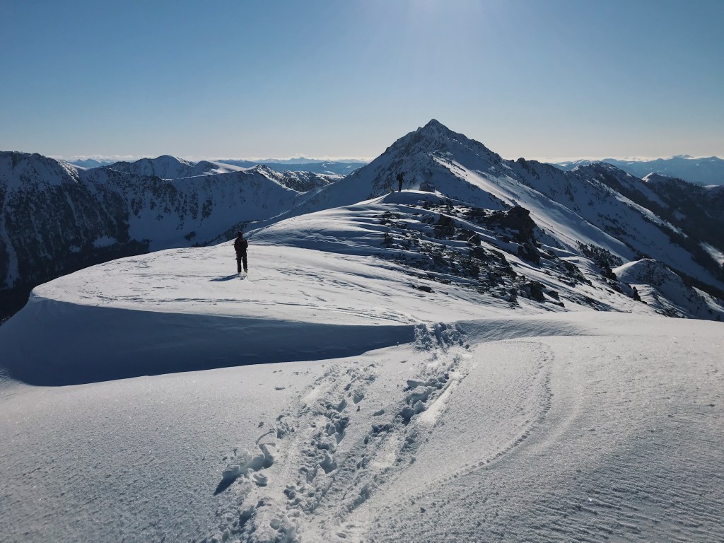 Week 12: the table (part&nbsp;1)