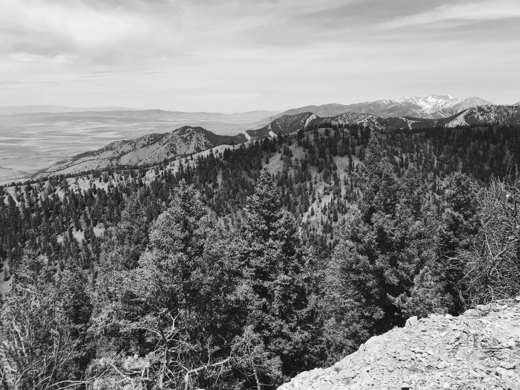 Week 23: the Great&nbsp;Nothing