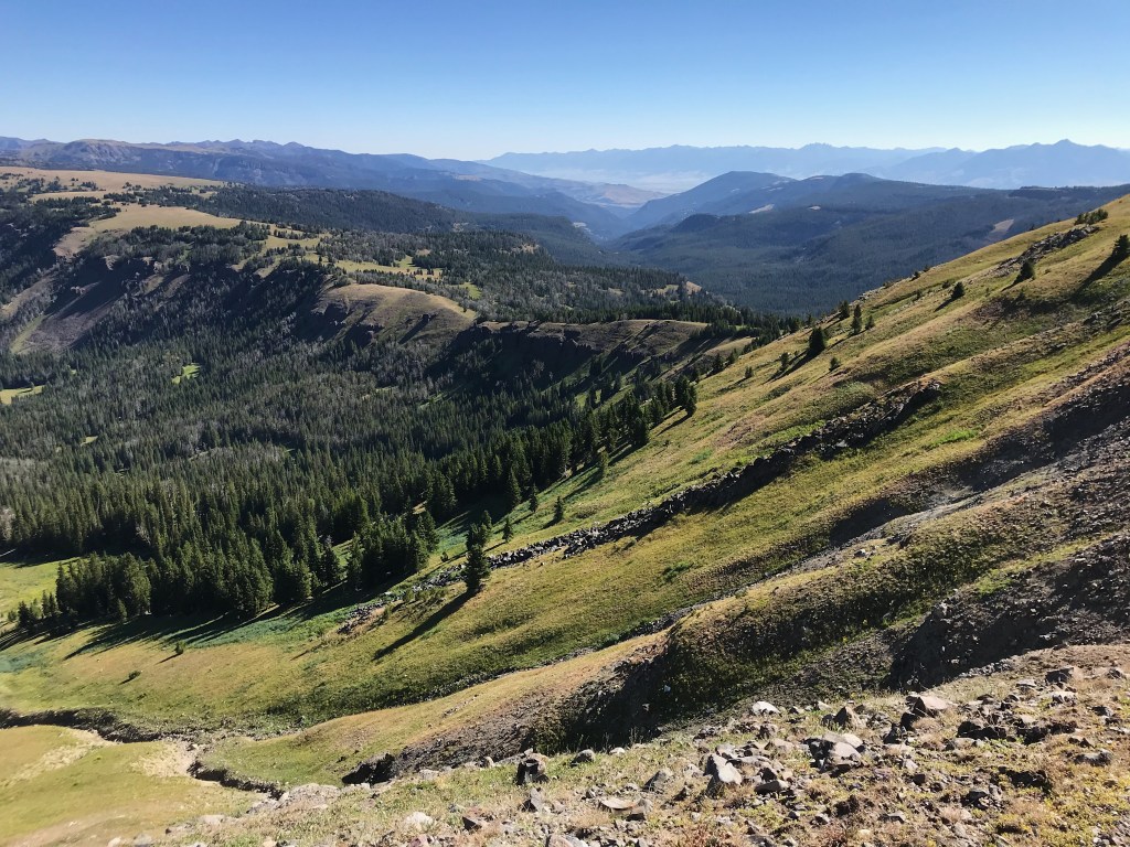 Week 33: the false/true worshiper (part&nbsp;2)