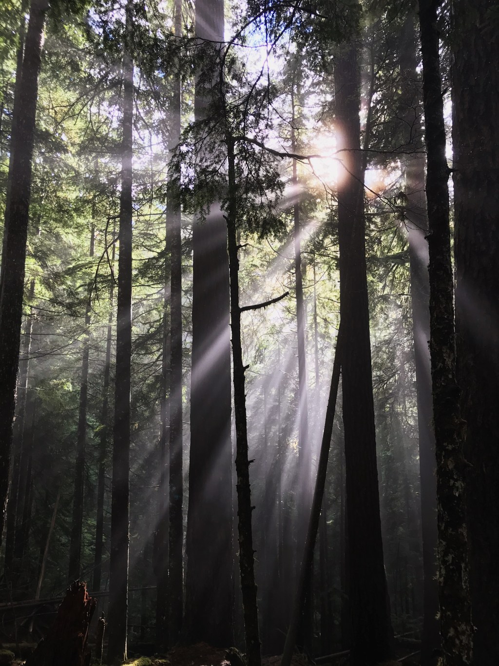 in the wild (part 2)