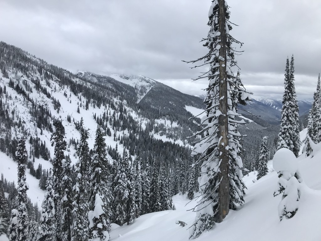 forgiving is remembering