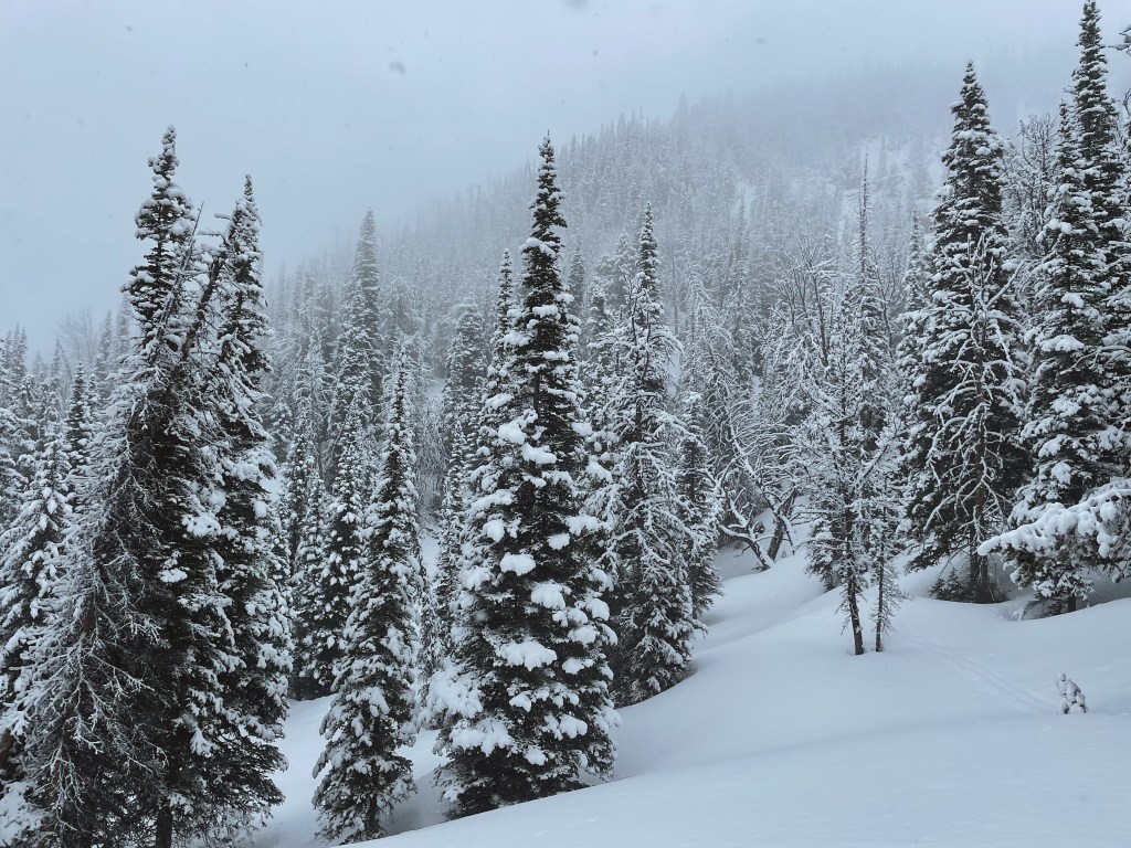 the gospel according to Jayber&nbsp;Crow