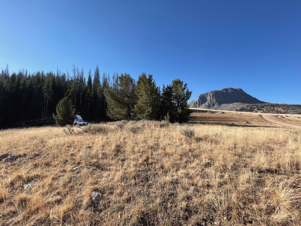 tell them what it’s&nbsp;like